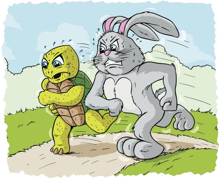 Rabbit and Turtle Racing
